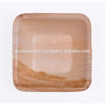 Best Quality Areca leaf Elegant Square Plate (6 Inch )